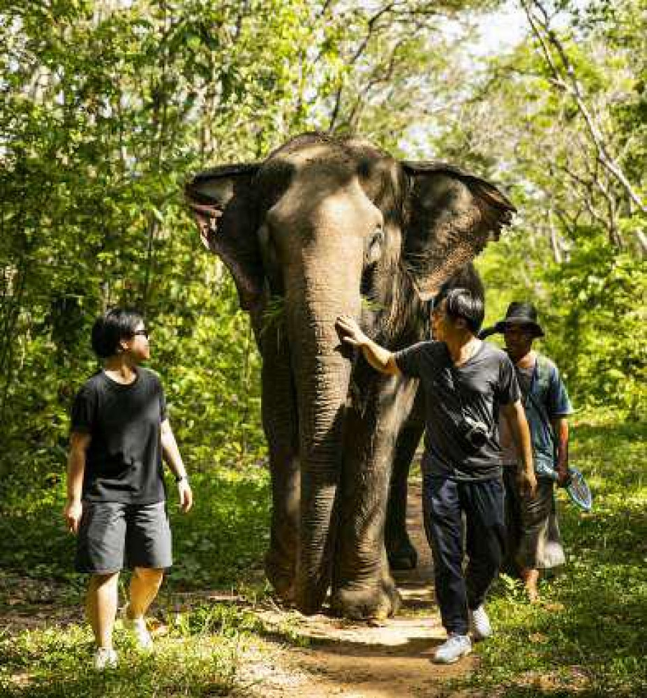 ทรัพย์ไพรวัลย์ รีสอร์ท และศูนย์การเรียนรู้ช้าง