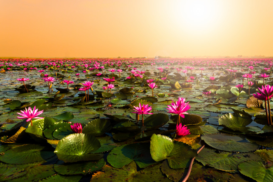 (APR22) Udon Thani 