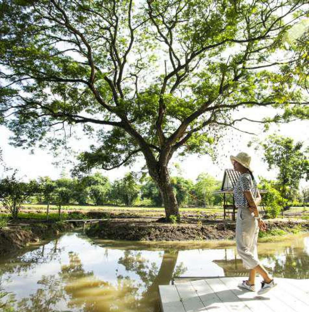 ดวงตวัน บ้านสวน