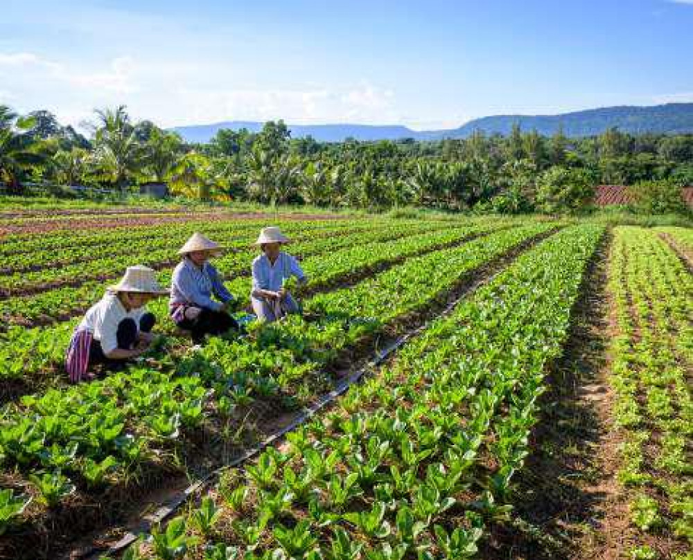 กลุ่มอนุรักษ์ต้นน้ำมูลโฮมสเตย์บ้านสุขสมบูรณ์