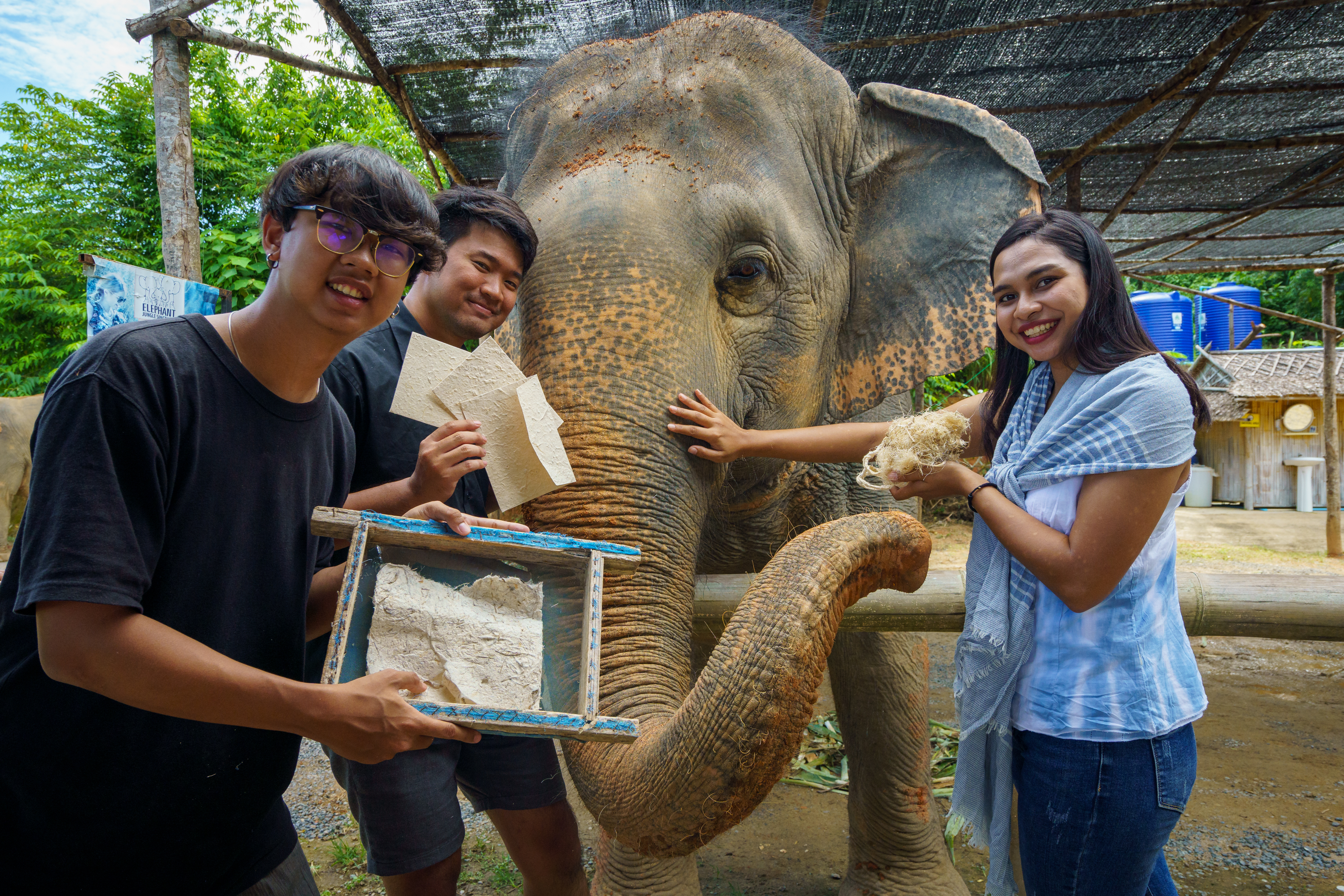 Must JOIN: Elephant Jungle Sanctuary, Phuket