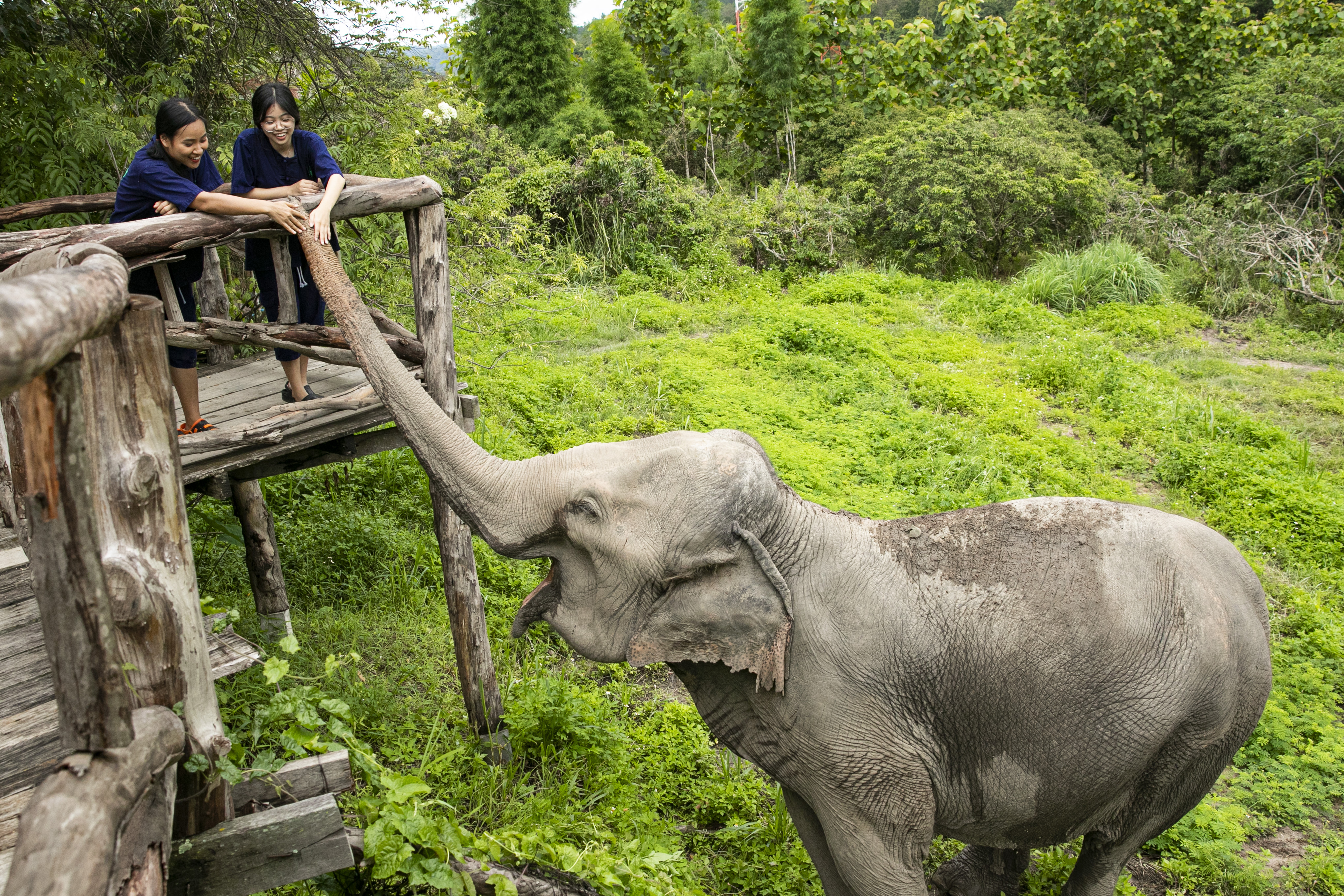 MUST JOIN : The Chang Chiang Mai