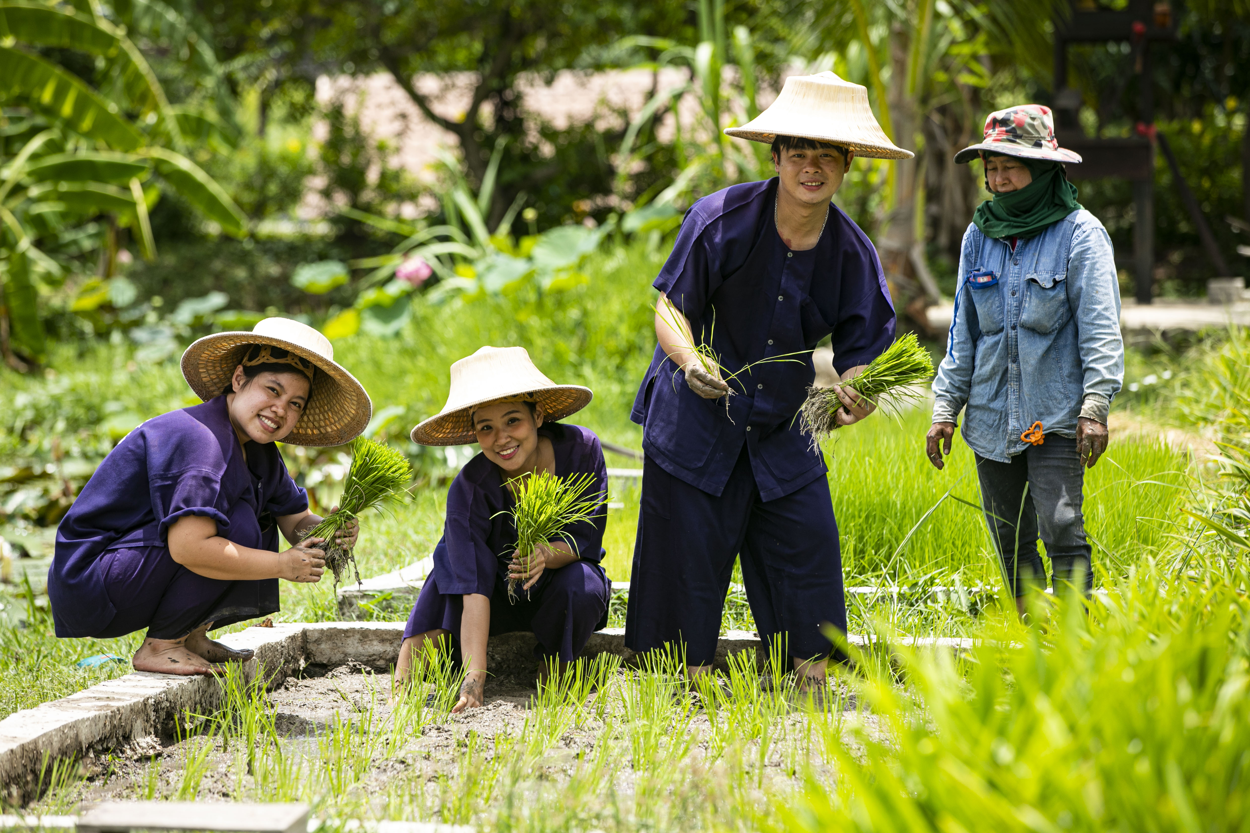 MUST JOIN Organic Agriculture Project - Sukhothai Airport