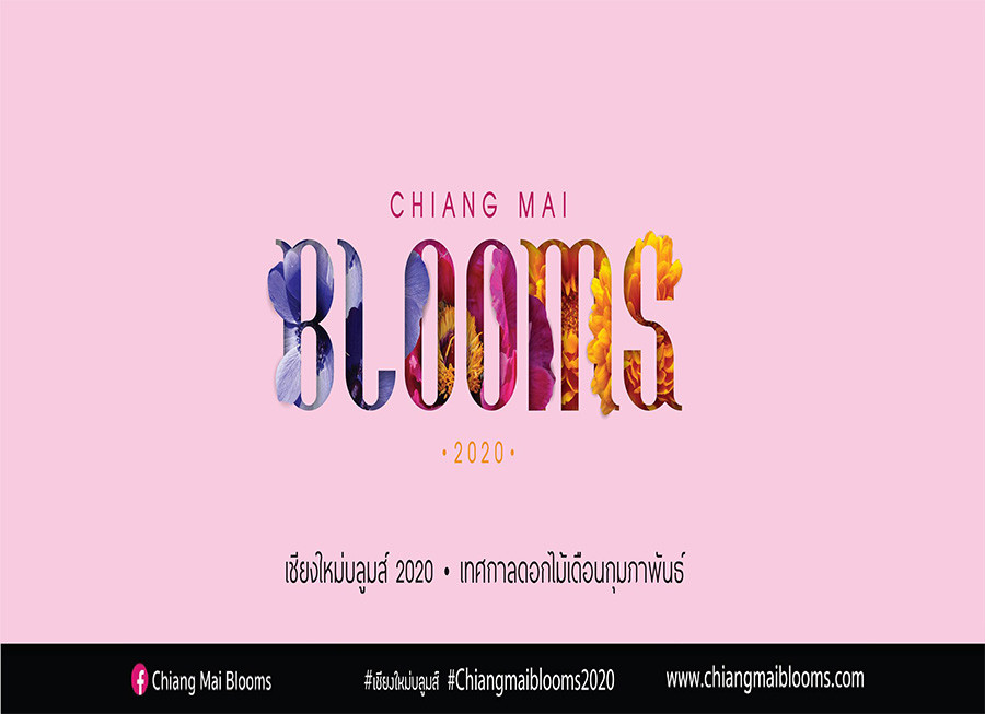 Chiangmai Blooms 2020
