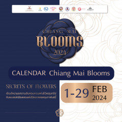 Chiang Mai Blooms 2024
