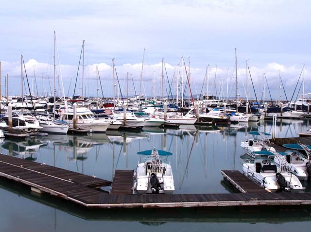 190811-gallery-sCZfKARst