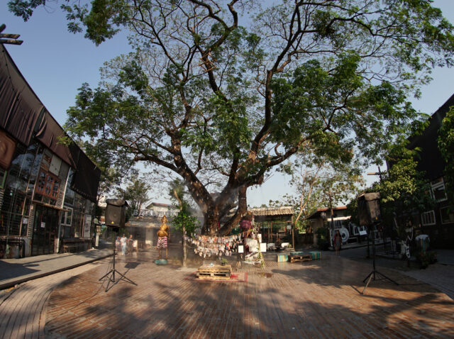 210330-gallery-UTW23urLr