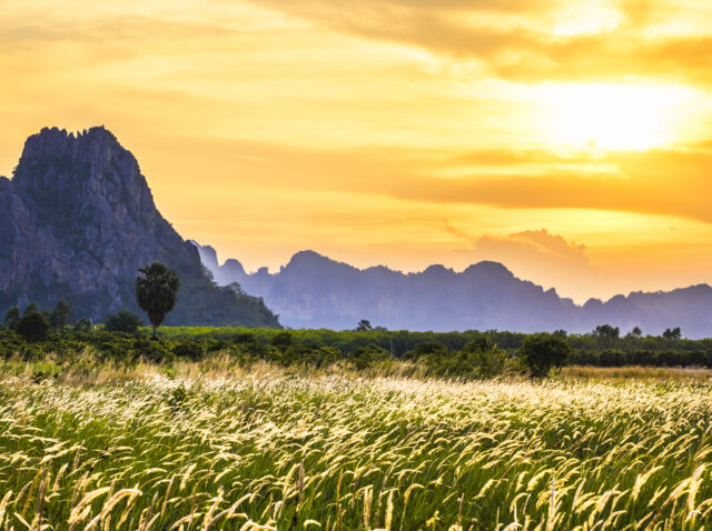 210330-gallery-frlS7VrV5