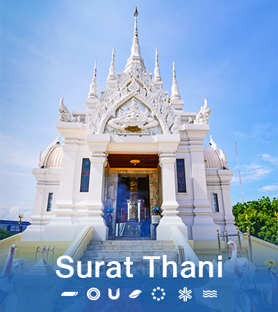 Thumnail_suratthani