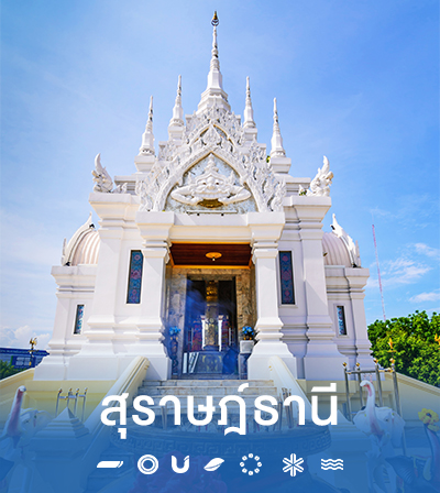 Thumnail_suratthani-th