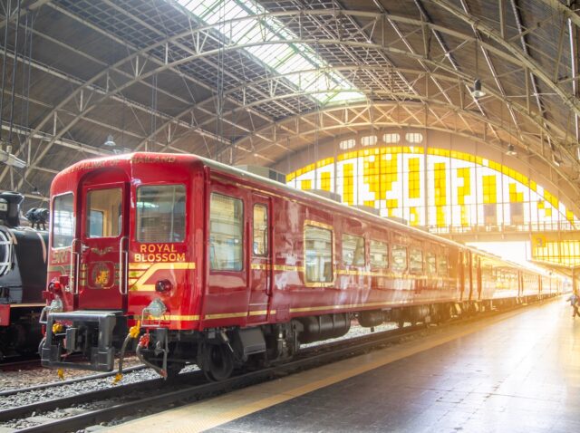 BANGKOK, THAILAND - JUNE 18, 2024: Trains parking for wait a traveller passenger,Refurbished Hamanasu passenger cars into "SRT Royal Blossom" tourist train at Hua Lamphong Station,  on June 18, 2024